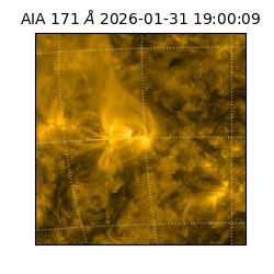 saia - 2026-01-31T19:00:09.350000