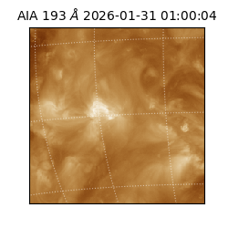 saia - 2026-01-31T01:00:04.846000