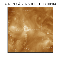 saia - 2026-01-31T03:00:04.843000