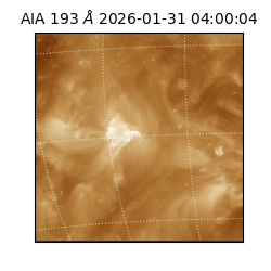 saia - 2026-01-31T04:00:04.843000