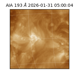 saia - 2026-01-31T05:00:04.843000