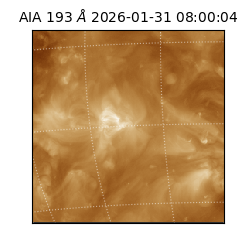 saia - 2026-01-31T08:00:04.843000