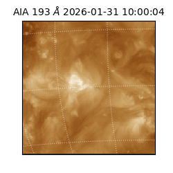 saia - 2026-01-31T10:00:04.843000