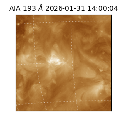 saia - 2026-01-31T14:00:04.843000