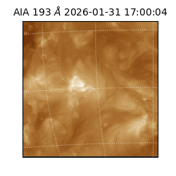 saia - 2026-01-31T17:00:04.843000