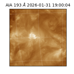 saia - 2026-01-31T19:00:04.843000