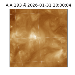 saia - 2026-01-31T20:00:04.843000