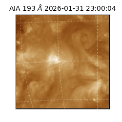 saia - 2026-01-31T23:00:04.843000