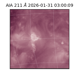 saia - 2026-01-31T03:00:09.630000