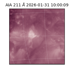 saia - 2026-01-31T10:00:09.622000