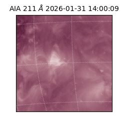 saia - 2026-01-31T14:00:09.626000