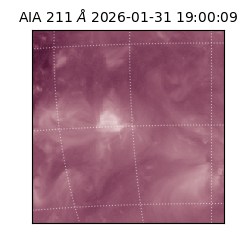 saia - 2026-01-31T19:00:09.626000