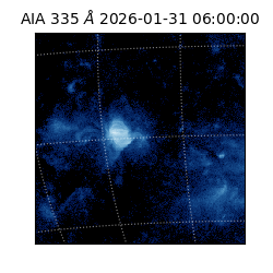 saia - 2026-01-31T06:00:00.626000