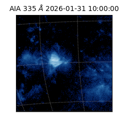 saia - 2026-01-31T10:00:00.626000