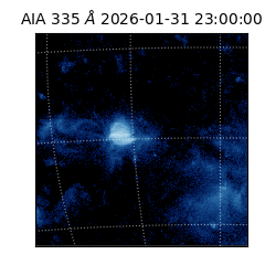 saia - 2026-01-31T23:00:00.632000