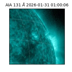 saia - 2026-01-31T01:00:06.622000