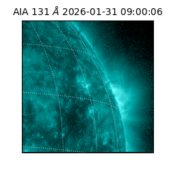 saia - 2026-01-31T09:00:06.625000