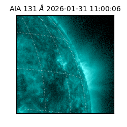 saia - 2026-01-31T11:00:06.622000