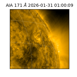 saia - 2026-01-31T01:00:09.349000