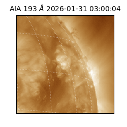 saia - 2026-01-31T03:00:04.843000