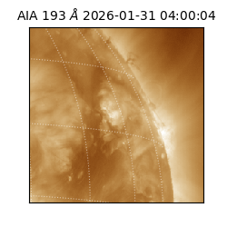 saia - 2026-01-31T04:00:04.843000