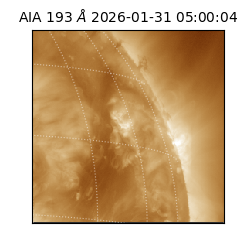 saia - 2026-01-31T05:00:04.843000