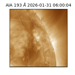 saia - 2026-01-31T06:00:04.843000