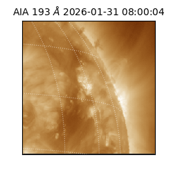 saia - 2026-01-31T08:00:04.843000