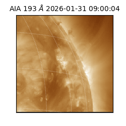 saia - 2026-01-31T09:00:04.843000