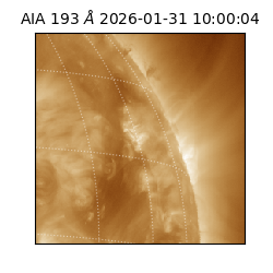 saia - 2026-01-31T10:00:04.843000