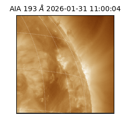 saia - 2026-01-31T11:00:04.843000