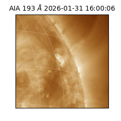 saia - 2026-01-31T16:00:06.936000