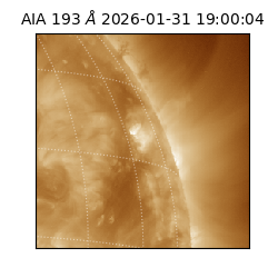 saia - 2026-01-31T19:00:04.843000