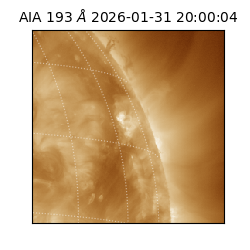 saia - 2026-01-31T20:00:04.843000