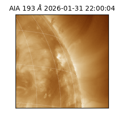 saia - 2026-01-31T22:00:04.843000