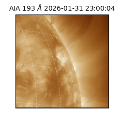 saia - 2026-01-31T23:00:04.843000