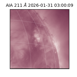 saia - 2026-01-31T03:00:09.630000