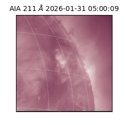 saia - 2026-01-31T05:00:09.630000