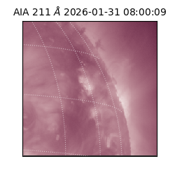 saia - 2026-01-31T08:00:09.626000