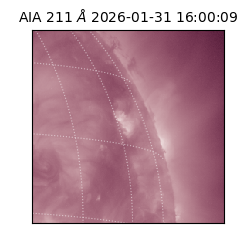 saia - 2026-01-31T16:00:09.626000