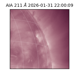 saia - 2026-01-31T22:00:09.626000
