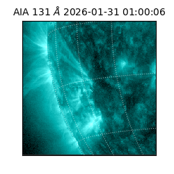 saia - 2026-01-31T01:00:06.622000