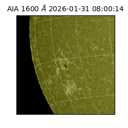 saia - 2026-01-31T08:00:14.126000