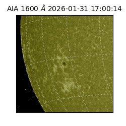 saia - 2026-01-31T17:00:14.126000