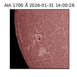 saia - 2026-01-31T14:00:28.721000