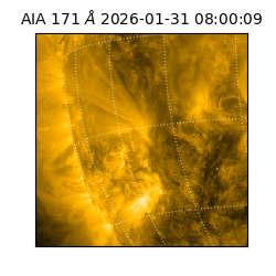 saia - 2026-01-31T08:00:09.350000