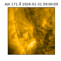 saia - 2026-01-31T09:00:09.350000