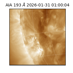 saia - 2026-01-31T01:00:04.846000