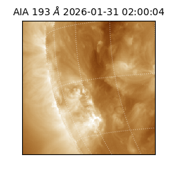 saia - 2026-01-31T02:00:04.846000