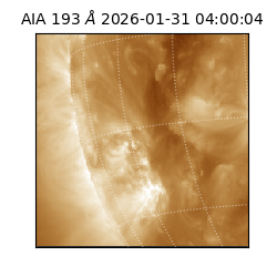 saia - 2026-01-31T04:00:04.843000